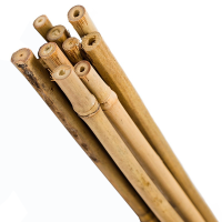 tutores-de-bambu